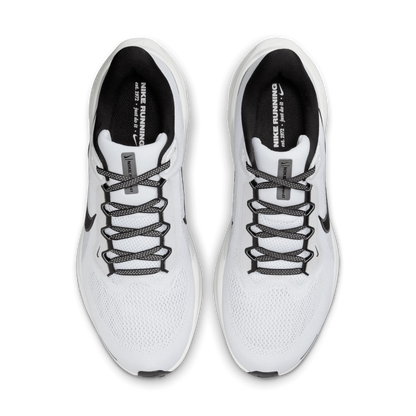 Air Zoom Pegasus 41 Men's