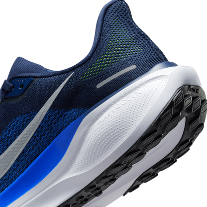 Air Zoom Pegasus 41 Men's