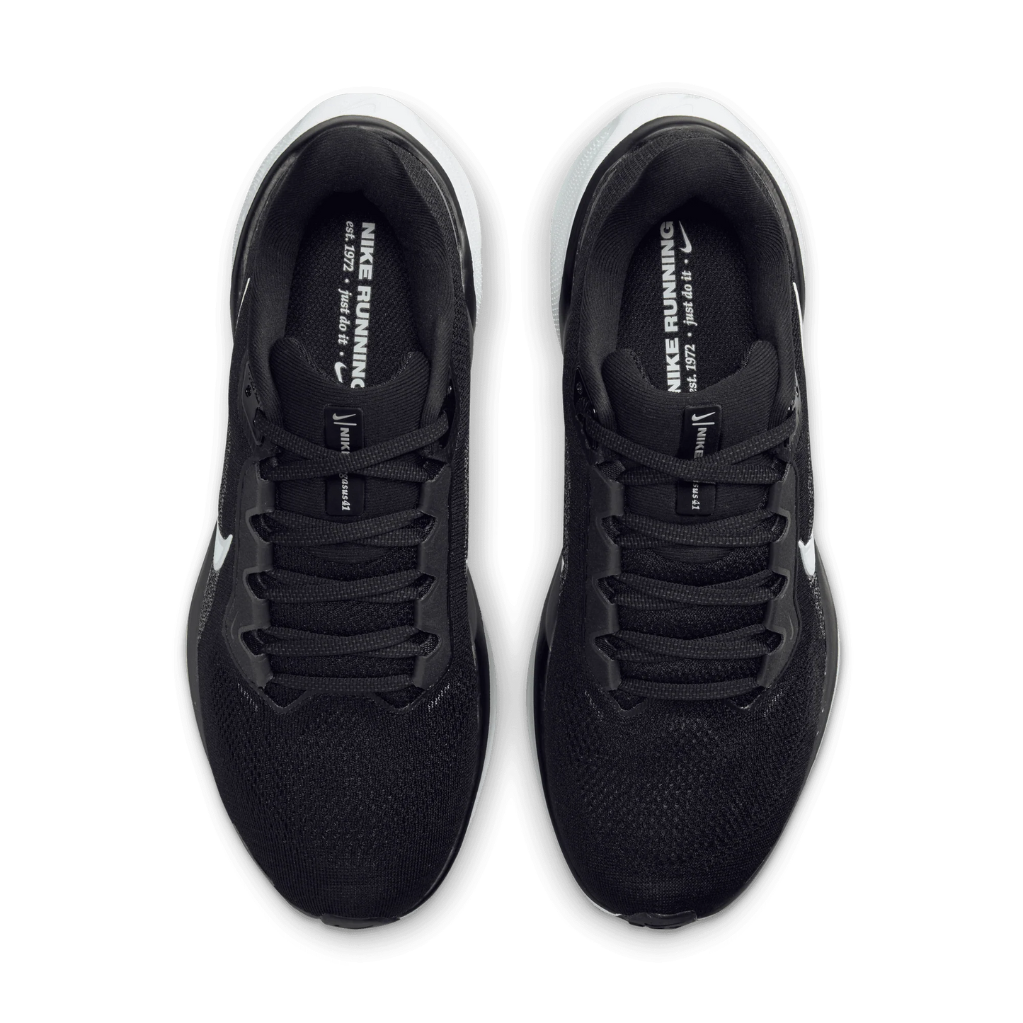 Air Zoom Pegasus 41 Women's