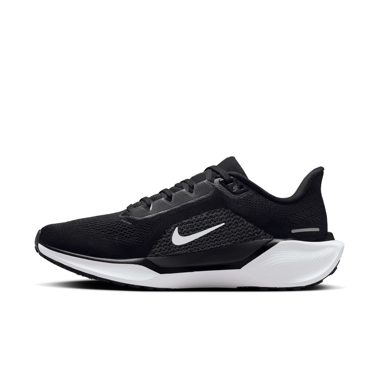 Air Zoom Pegasus 41 Women's