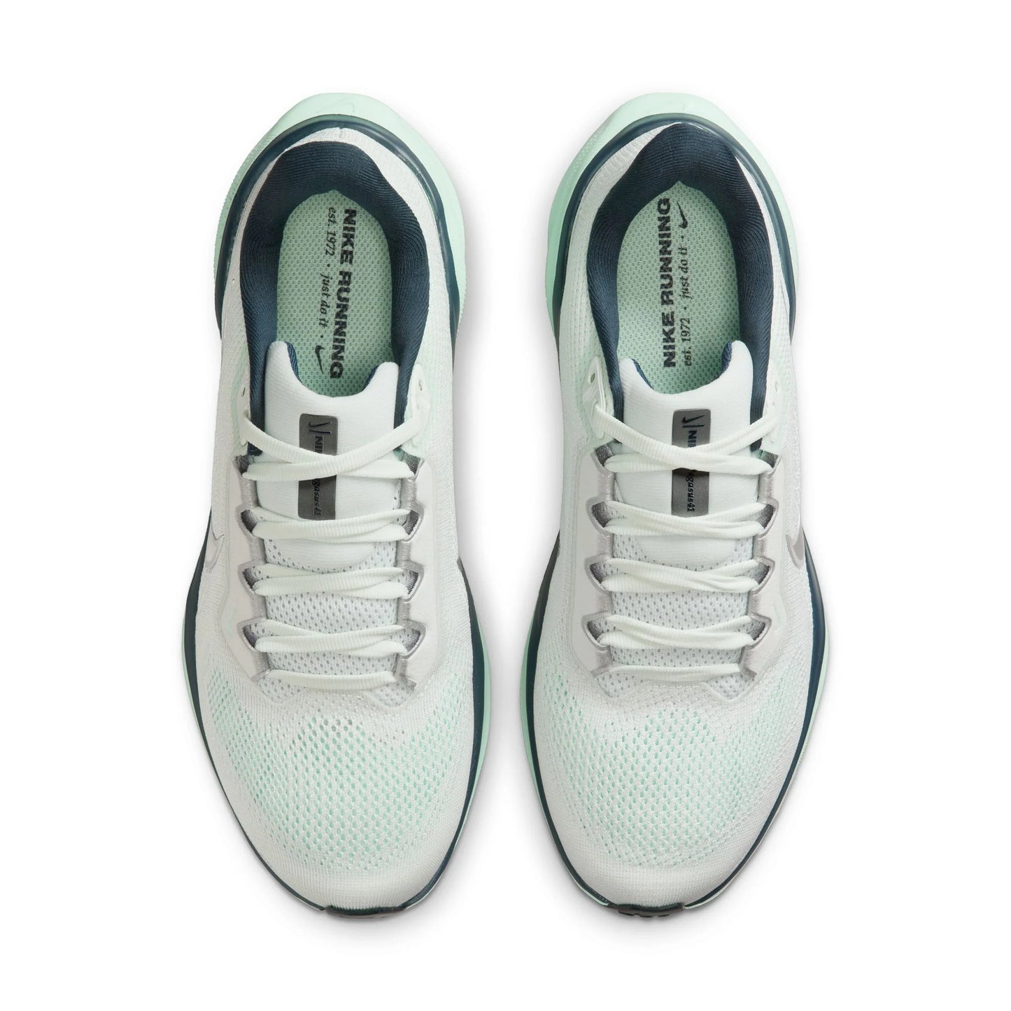 Air Zoom Pegasus 41 Women's