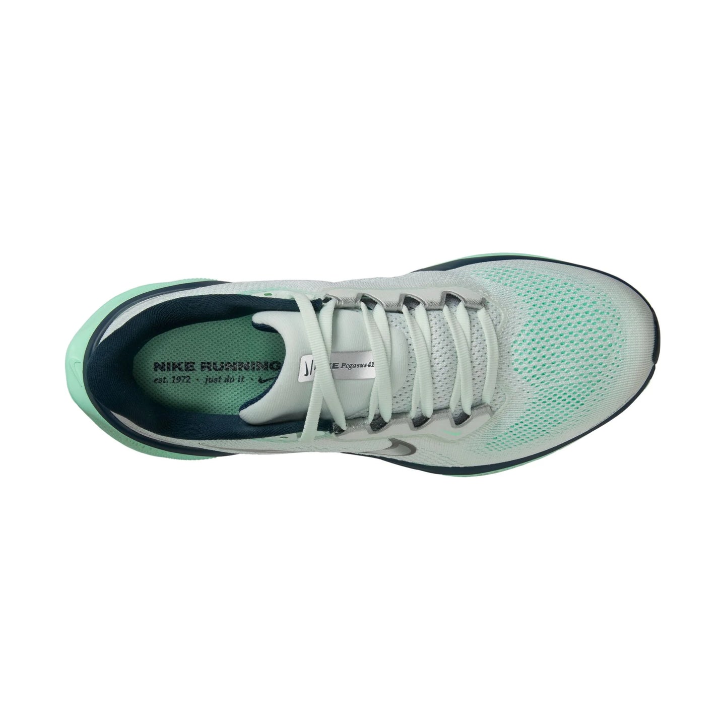 Air Zoom Pegasus 41 Women's