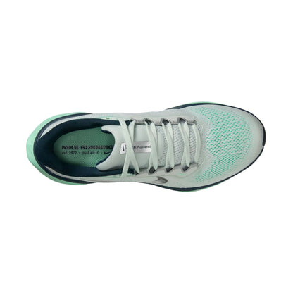 Air Zoom Pegasus 41 Women's