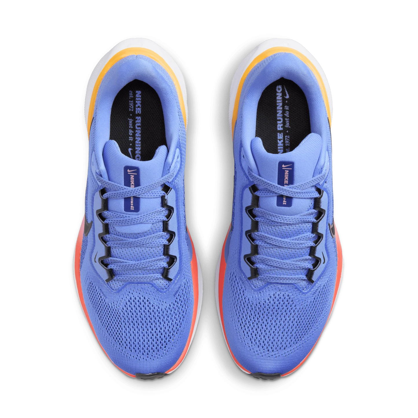 Air Zoom Pegasus 41 Women's