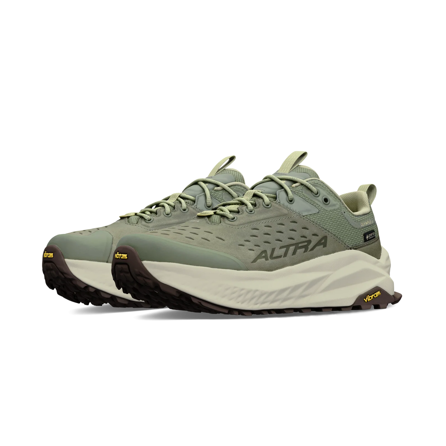 Olympus 6 Hike Low GTX Women's