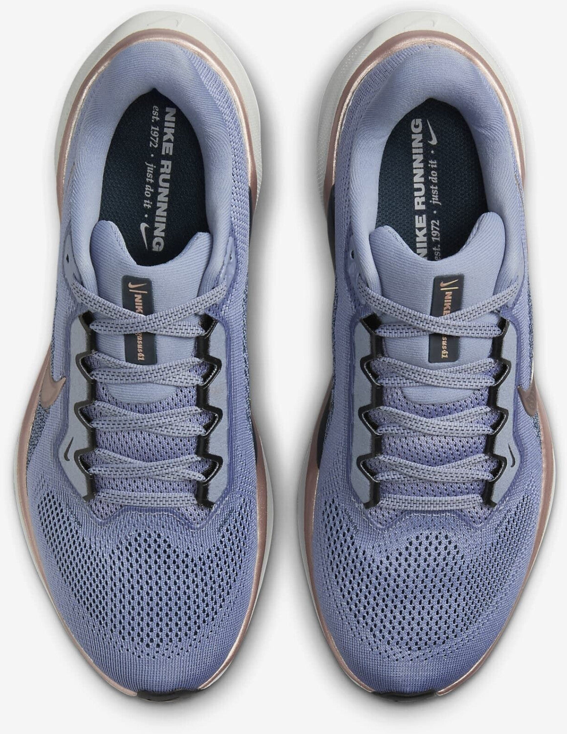 Air Zoom Pegasus 41 Women's